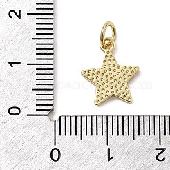 Brass Enamel Pendants&nbsp;KK-P338-13G-02
