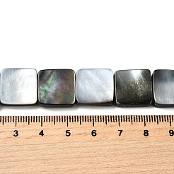 Natural Black Lip Shell Beads Strands&nbsp;BSHE-D300-07-15mm