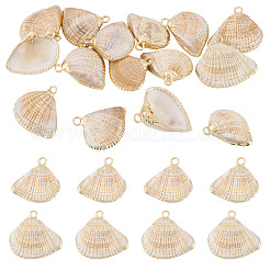15Pcs Natural Shell Pendants&nbsp;BSHE-TA0001-26