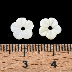 Natural Freshwater Shell Carved Beads&nbsp;SH-CBACA76-04