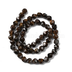 Natural Bronzite Beads Strands&nbsp;G-Z119-A30-01