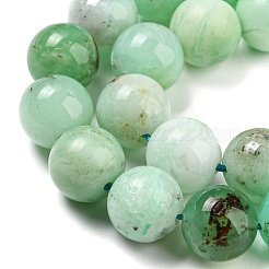 Natural Chrysoprase Beads Strands&nbsp;G-P503-10MM-03