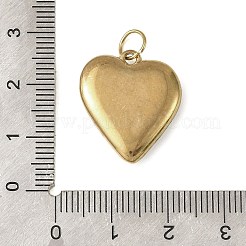 Baking Paint 304 Stainless Steel Pendants&nbsp;STAS-C178-01G