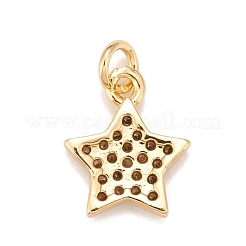 Brass Micro Pave Cubic Zirconia Charms&nbsp;KK-A161-23G