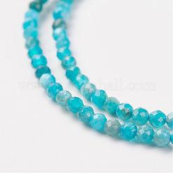 Natural Apatite Bead Strand&nbsp;G-G680-11