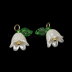 Acrylic Pendants&nbsp;OACR-D012-01C