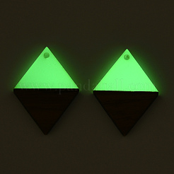 Walnut Wood & Luminous Glow in the Dark Resin Pendants&nbsp;RESI-N039-76