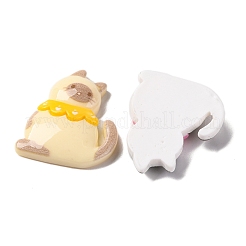 Resin Cabochons&nbsp;CRES-M002-01