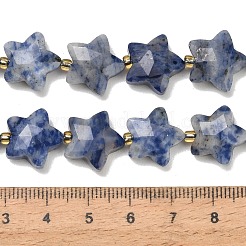 Natural Blue Spot Beads Strands&nbsp;G-P573-C45-01