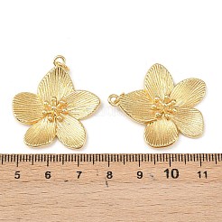 Brass Pendants&nbsp;X-KK-L255-04G