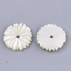 Natural White Shell Beads&nbsp;X-SSHEL-R045-23