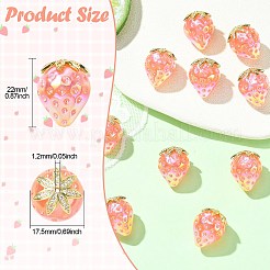 Resin Beads&nbsp;RESI-CJC0027-12