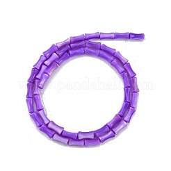 Natural Freshwater Shell Beads Strands&nbsp;SHEL-G013-01G
