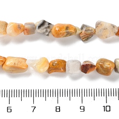 Natural Crazy Agate Beads Strands&nbsp;G-P497-01C-08