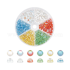 6 Bagds 6 Colors Resin Cabochons&nbsp;MRMJ-PH0002-82