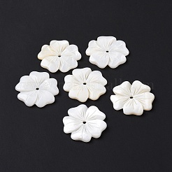 Natural White Shell Beads&nbsp;SSHEL-C011-08