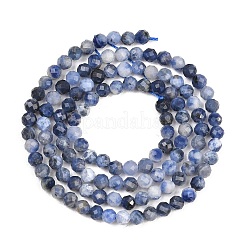 Natural Sodalite Beads Strands&nbsp;G-RM250104-A5