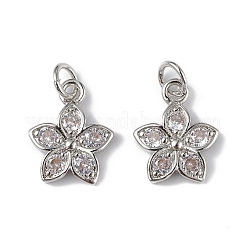 Rack Plating Brass Micro Pave Cubic Zirconia Charms&nbsp;KK-F848-13P