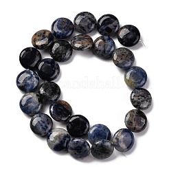 Natural Sodalite Beads Strands&nbsp;G-C159-A09-01