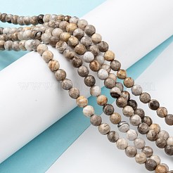 Natural Silver Leaf Jasper Beads Strands&nbsp;G-E444-35A-8mm