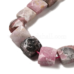 Natural Rhodonite Beads Strands&nbsp;G-C109-A03-01