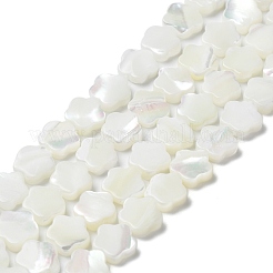 Natural Trochus Shell Beads Strands&nbsp;X-BSHE-P033-07