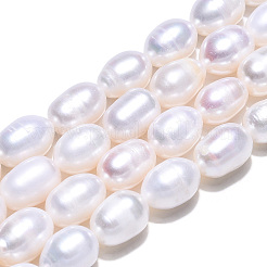 Natural Cultured Freshwater Pearl Beads Strands&nbsp;PEAR-N012-07F