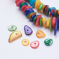 Natural Shell Chips Beads Strands&nbsp;SSHEL-J050-01