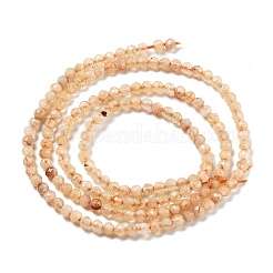 Natural Citrine(Heated) Beads Strands&nbsp;LS-G-RM250104-A8