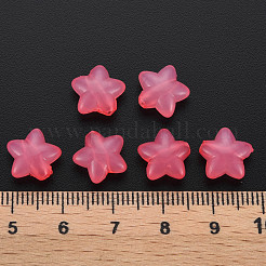 Transparent Acrylic Beads&nbsp;MACR-S373-26E-06