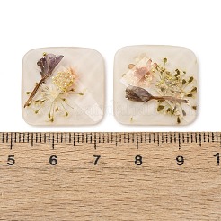 Transparent Resin Cabochons&nbsp;RESI-K033-12B