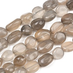 Natural Grey Moonstone Beads Strands&nbsp;G-G464-A02-02