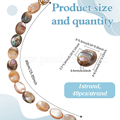 1 Strand Natural Paua Shell Beads Strands&nbsp;BSHE-ME0001-05