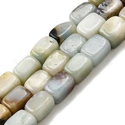 Natural Flower Amazonite Beads Strands&nbsp;G-F791-C06