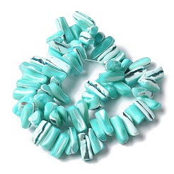 Dyed Natural Trochus Shell Beads Strands&nbsp;SSHEL-C013-09M