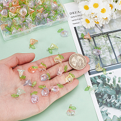 120Pcs Transparent Acrylic Pendants&nbsp;PALLOY-GA00026
