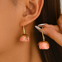 Brass Resin Dangle Earrings for Women&nbsp;NB9245-2
