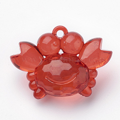 Transparent Acrylic Pendants&nbsp;X-TACR-T002-14