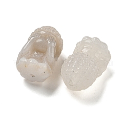 Natural Alashan Agate Beads&nbsp;G-M442-02