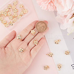 40Pcs Rack Plating Alloy Charms&nbsp;FIND-BBC0004-44