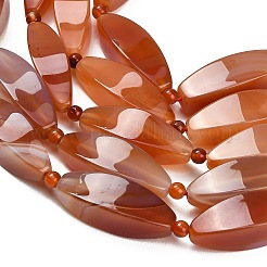 Natural Red Agate Beads Strands&nbsp;G-B178-R01-01