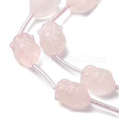 Natural Rose Quartz Beads Strands&nbsp;G-K382-E01-01
