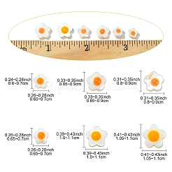 Natural Freshwater Shell Beads&nbsp;SHEL-YW0001-04A