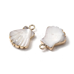 Natural Trochid Shell/Trochus Shell Pendants&nbsp;SHEL-B003-08G