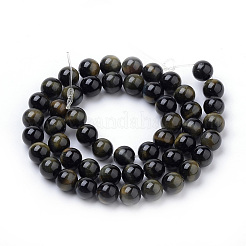 Natural Tiger Eye Beads Strands&nbsp;X-G-S259-22-8mm