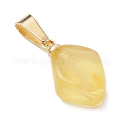 Natural Amber Pendants&nbsp;PALLOY-JF05157