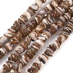 Natural Black Lip Shell Beads Strands&nbsp;SSHEL-F304-02A