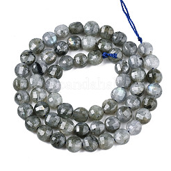 Natural Labradorite Beads Strands&nbsp;G-S354-24-A