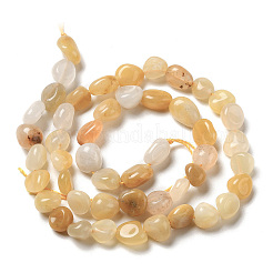 Natural Yellow Aventurine Beads Strands&nbsp;G-I351-A02