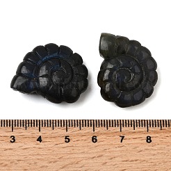 Natural Labradorite Pendants&nbsp;G-NH0065-01C